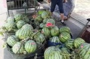 分红视频官方版下载 