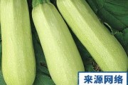 黑料吃瓜网apk普通安装 