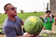 网红吃播模拟器 