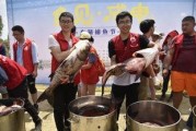 网红吃播模拟器 
